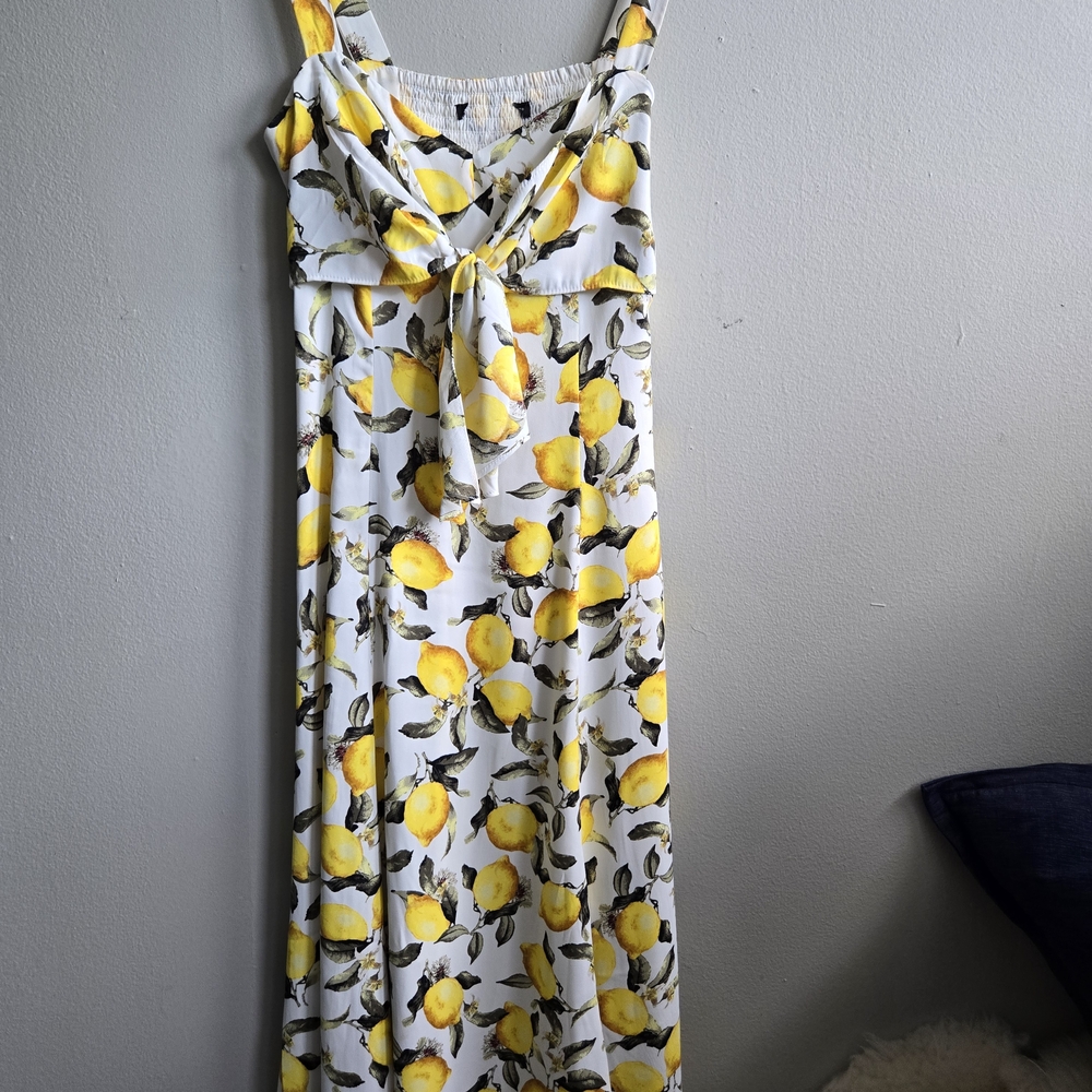 EUC White House Black Market 'Lemons' Tie Front Sundress